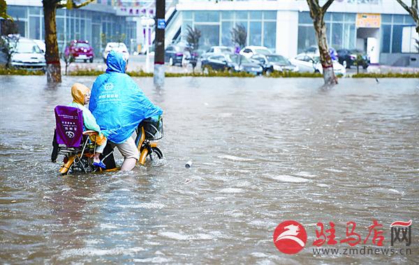 yangf160762.jpg