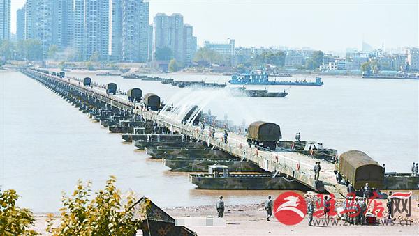 yangf1608133.jpg