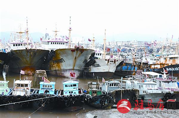 zhangxj160926.jpg
