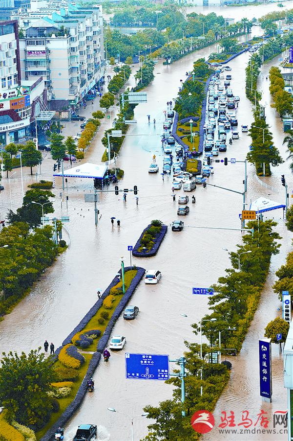 yangf1609126.jpg