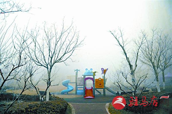 zhangxj161256.jpg