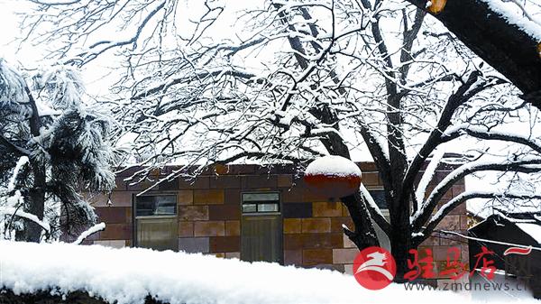 yangf161280.jpg