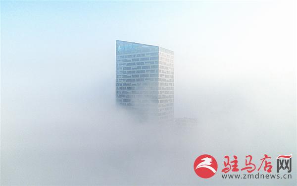 yangf1701131.jpg