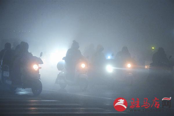 yangf170116.jpg