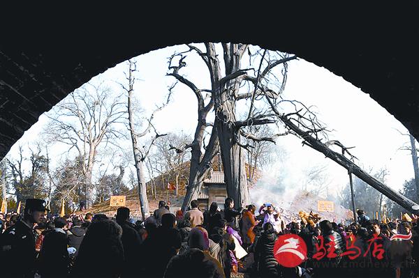 zhaol170273.jpg