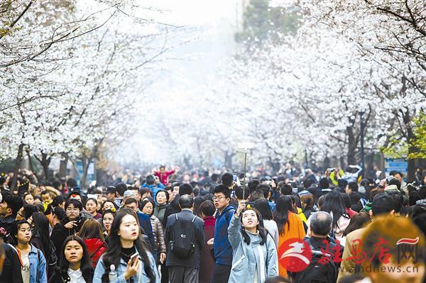 guols1703288.jpg
