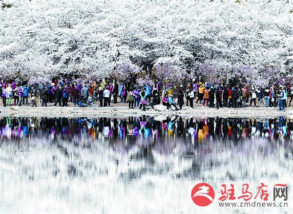 yangf1703751.jpg