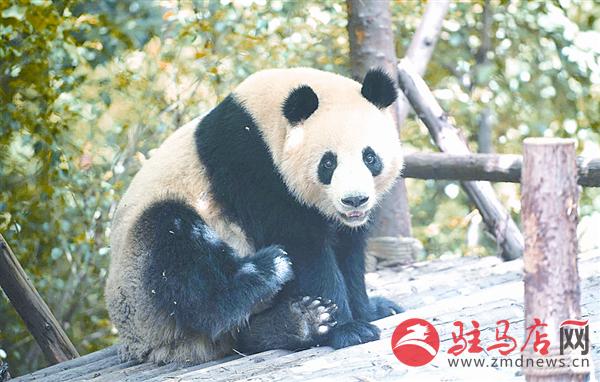 zhangxj17059.jpg