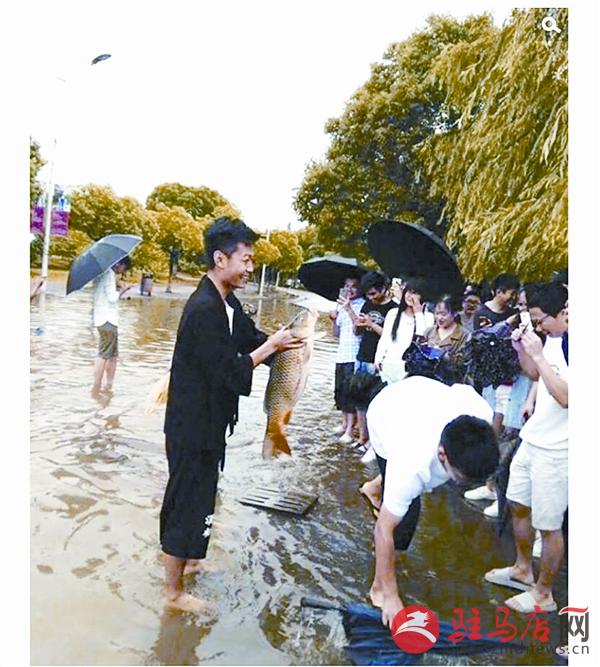 yangf170634.jpg