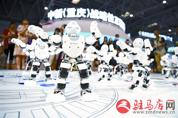 yangf170665.jpg