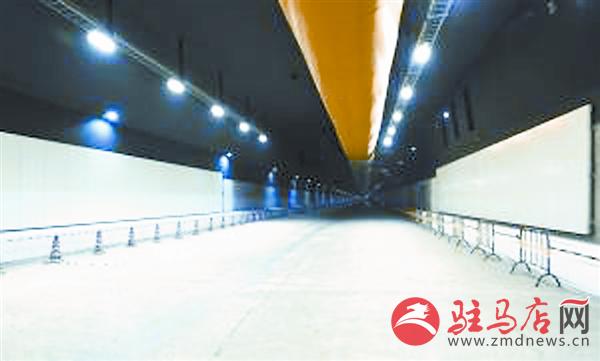 yangf170739.jpg