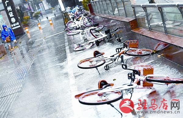 zhangxj1707601.jpg