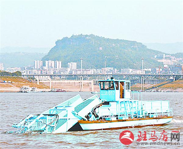 daih17096.jpg