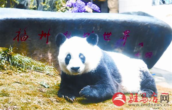 zhangxj170917.jpg