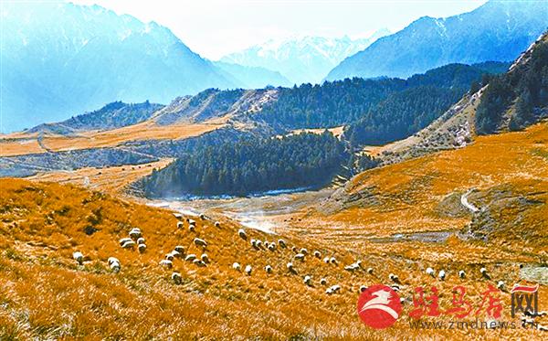 zhangxj170944.jpg