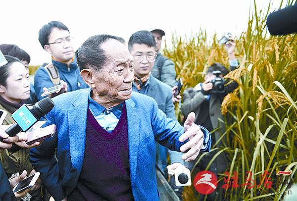yangf171071.jpg