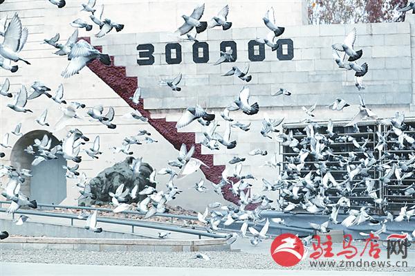 zhangxj171215.jpg