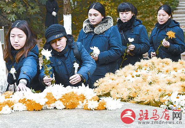 yangf171242.jpg