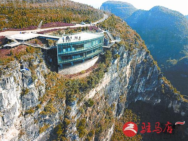 yangf1712113.jpg