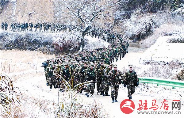 yangf180147.jpg