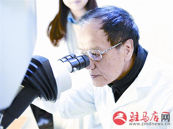 yangf180152.jpg
