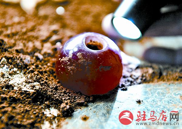 yangf1801130.jpg