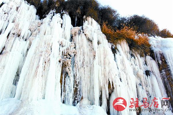 zhangxj180225.jpg