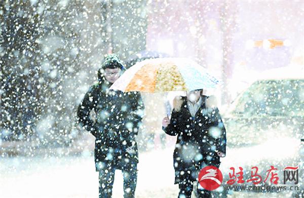 zhangxj18031.jpg
