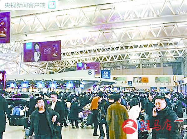 zhangxj18032.jpg