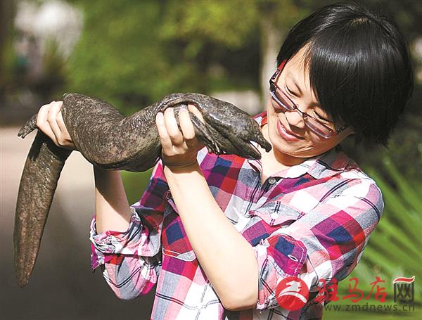 yangf1805104.jpg