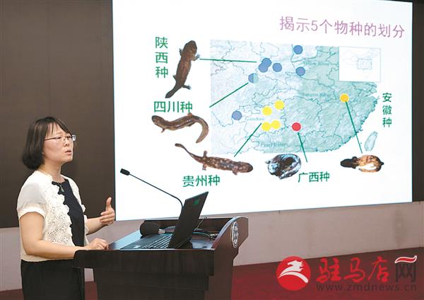 yangf1805103.jpg