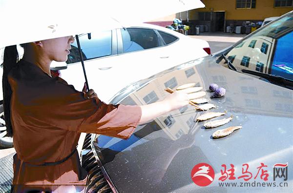 yangf180628.jpg