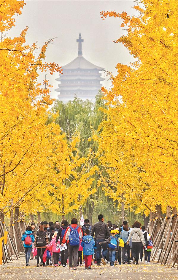 zhaol181082.jpg