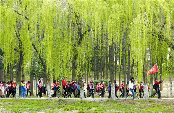 wangc190421.jpg