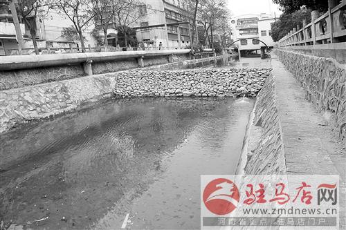 guols1412190.jpg