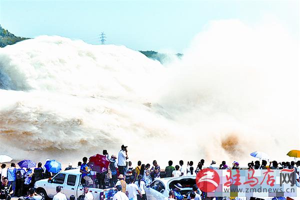 daih160658.jpg