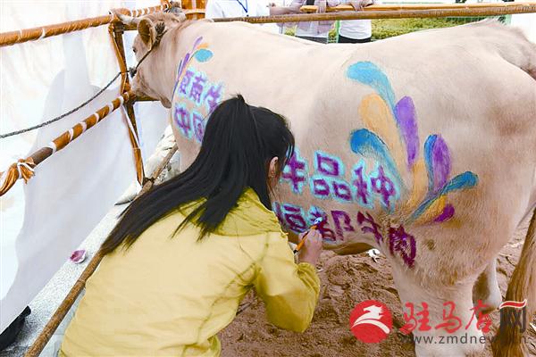 zhaol160953.jpg