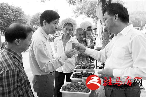 guols1405578.jpg