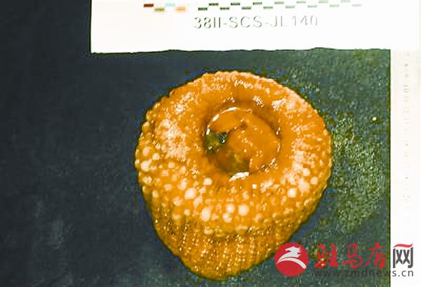 zhangxj170518.jpg