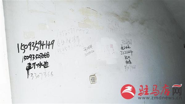wub1608159.jpg