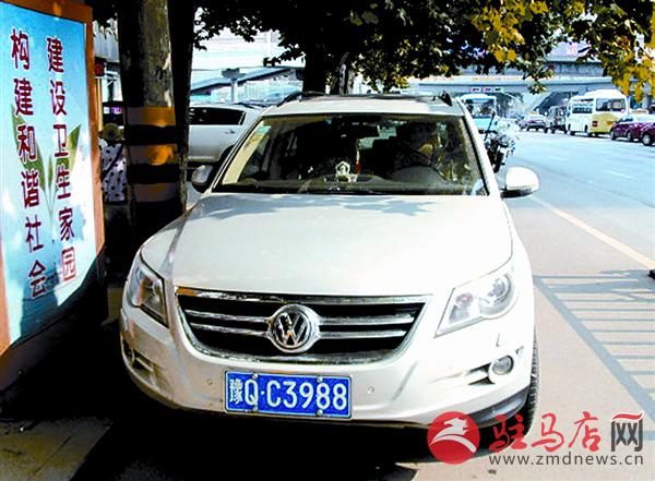 yangf1608100.jpg
