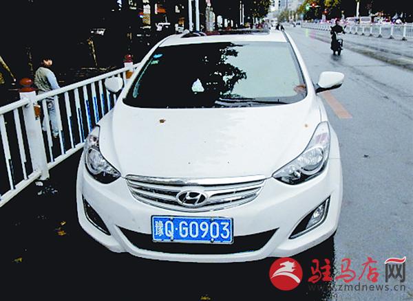 yangf1608102.jpg