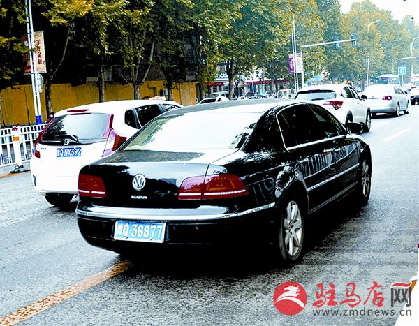 yangf160896.jpg
