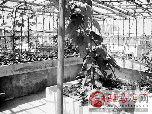 kanggf140681.jpg