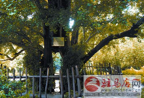 liul140747.jpg