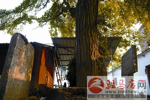 liul140741.jpg