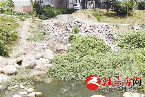 guols1407215.jpg