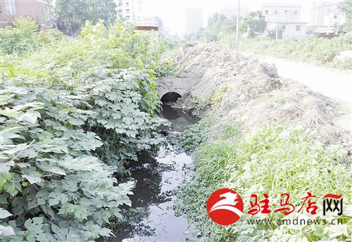 guols1407217.jpg