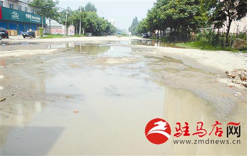 guols1407218.jpg