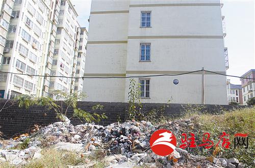 zhangz141131.jpg